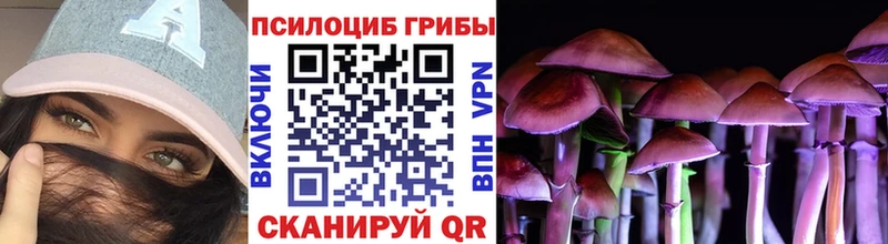 Купить закладки  Новоаннинский  Псилоцибиновые грибы мицелий 
